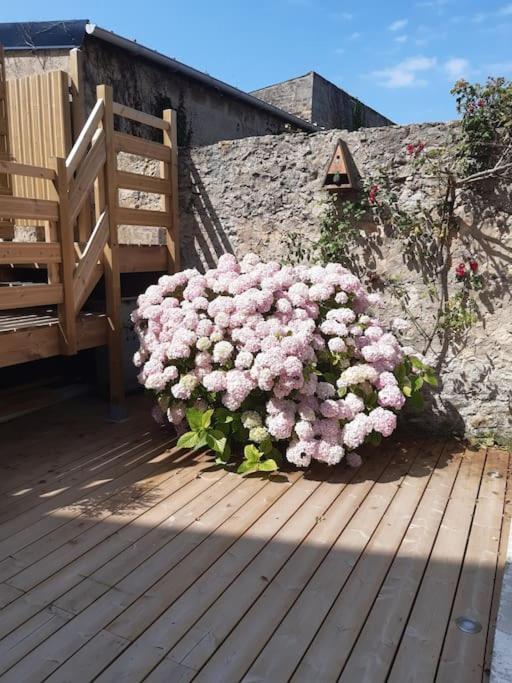 Champêtre - Gîte entièrement neuf à 100 mètres de la plage Wimereux Extérieur photo